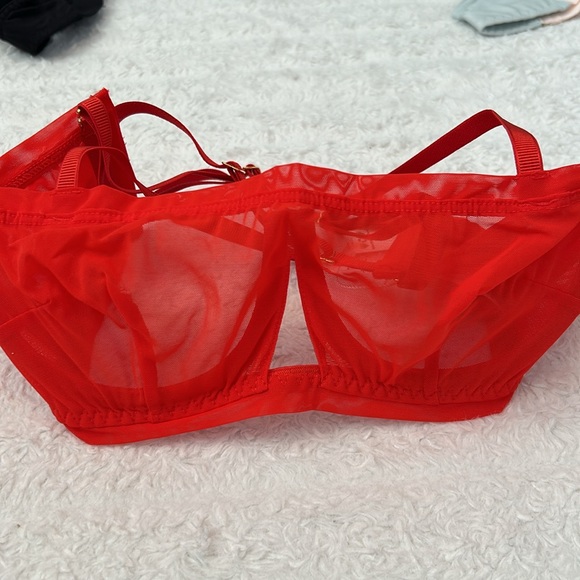 NWT We Are HAH Wired Bra in Blood Orange size : 30-38 B - Picture 1 of 5